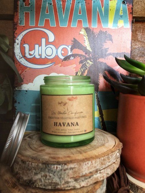 BOUGIE HAVANA
