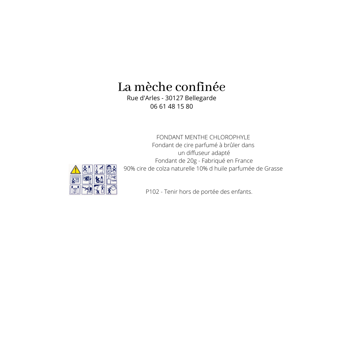 Lot de 2 Fondants de cire MENTHE CHOLOROPHYLLE