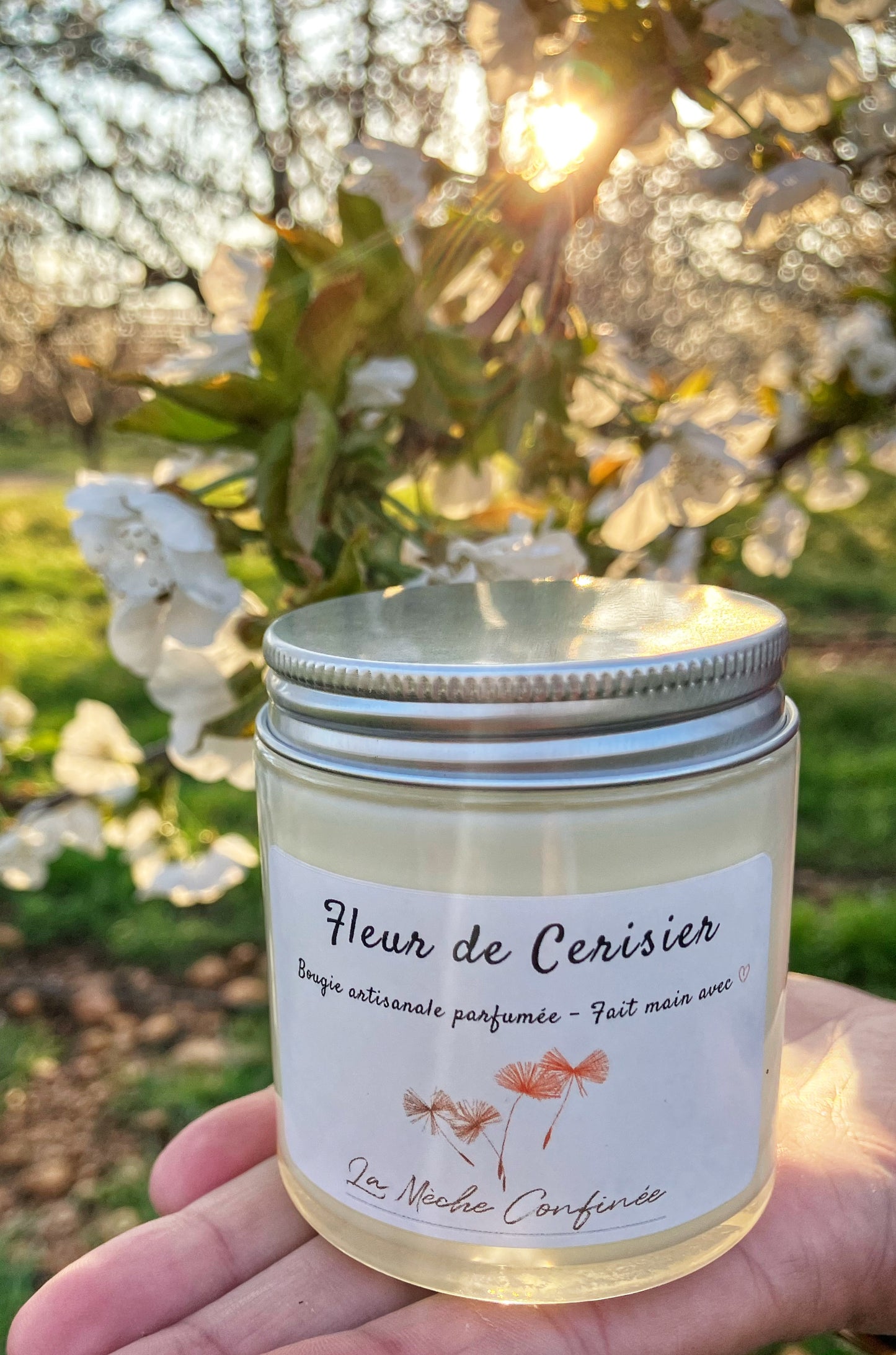 BOUGIE FLEUR DE CERISIER