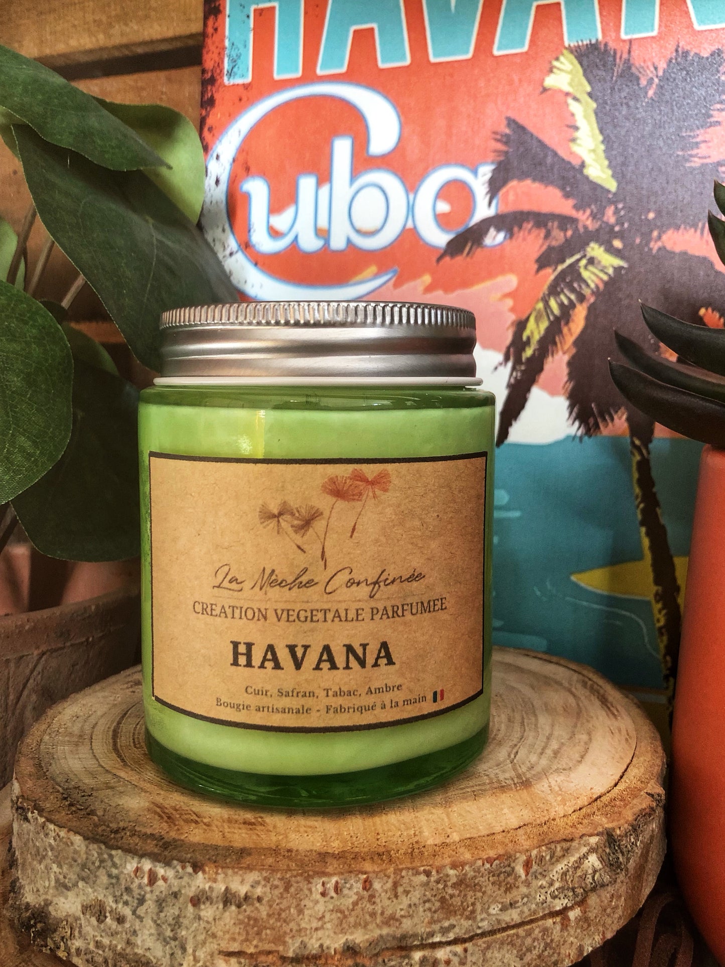BOUGIE HAVANA