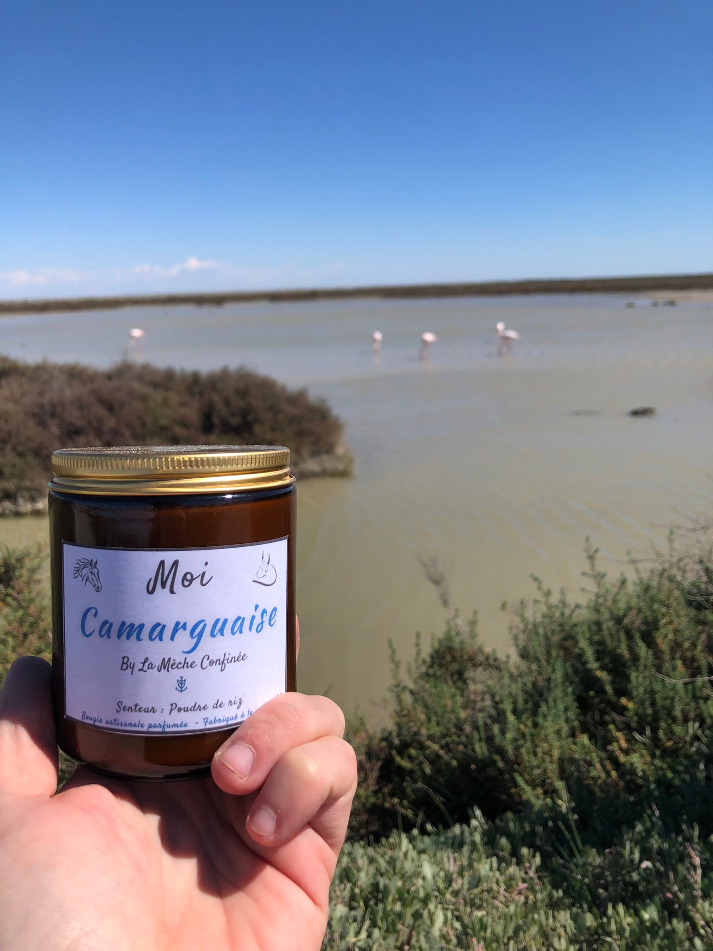 MOI, CAMARGUAISE