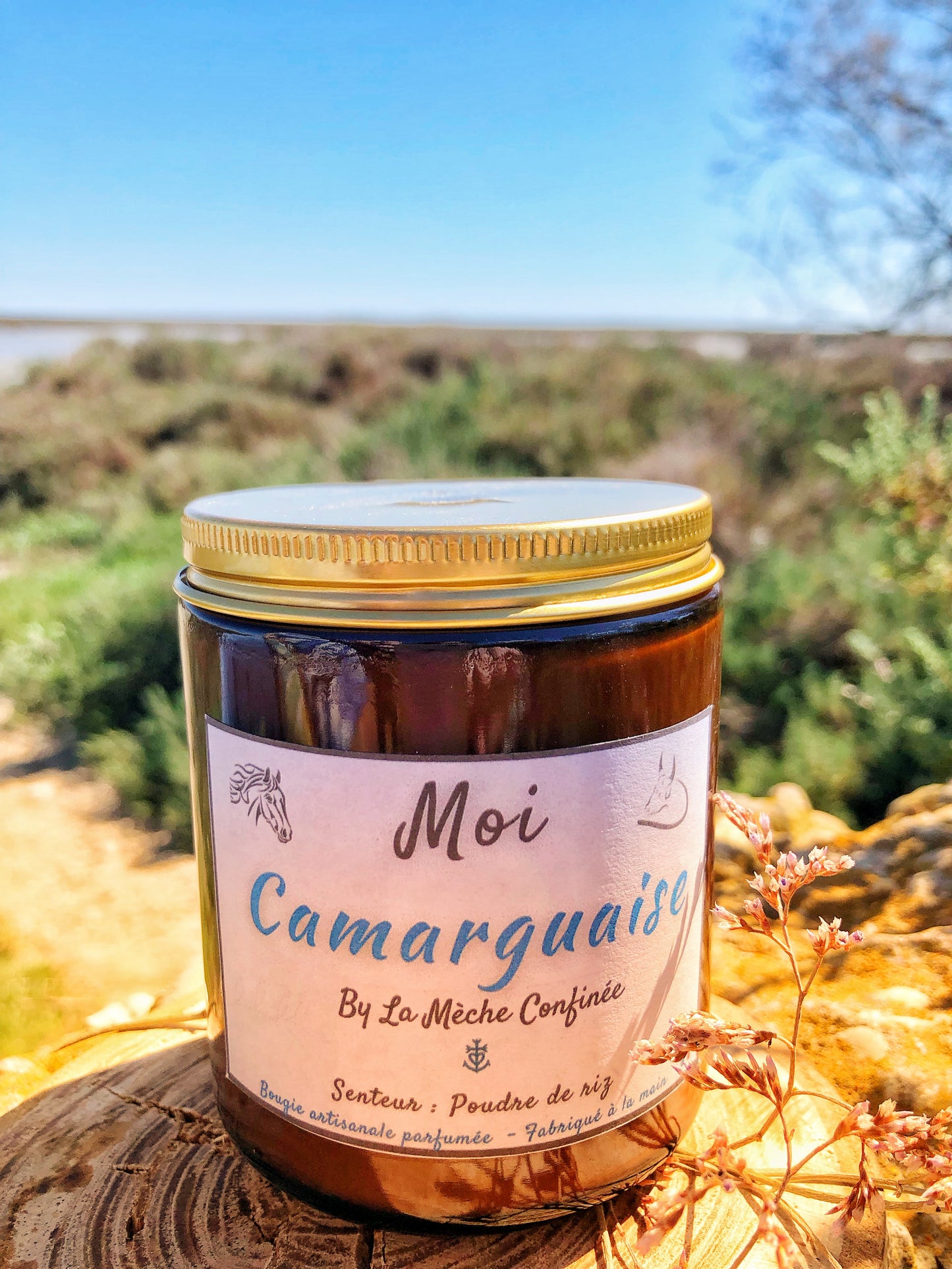 MOI, CAMARGUAISE