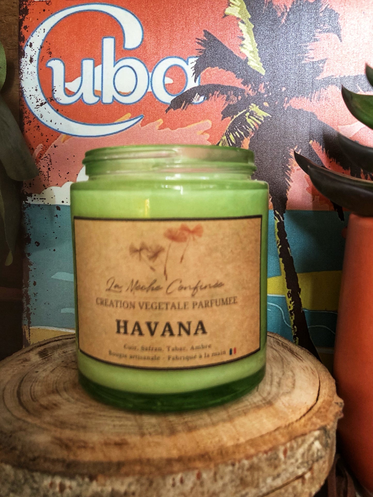 BOUGIE HAVANA
