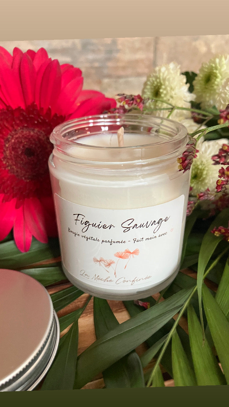 BOUGIE FIGUE SAUVAGE