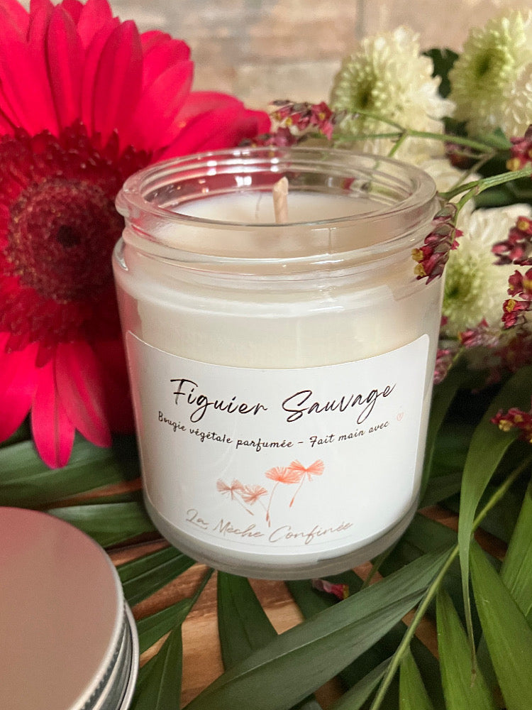 BOUGIE FIGUE SAUVAGE