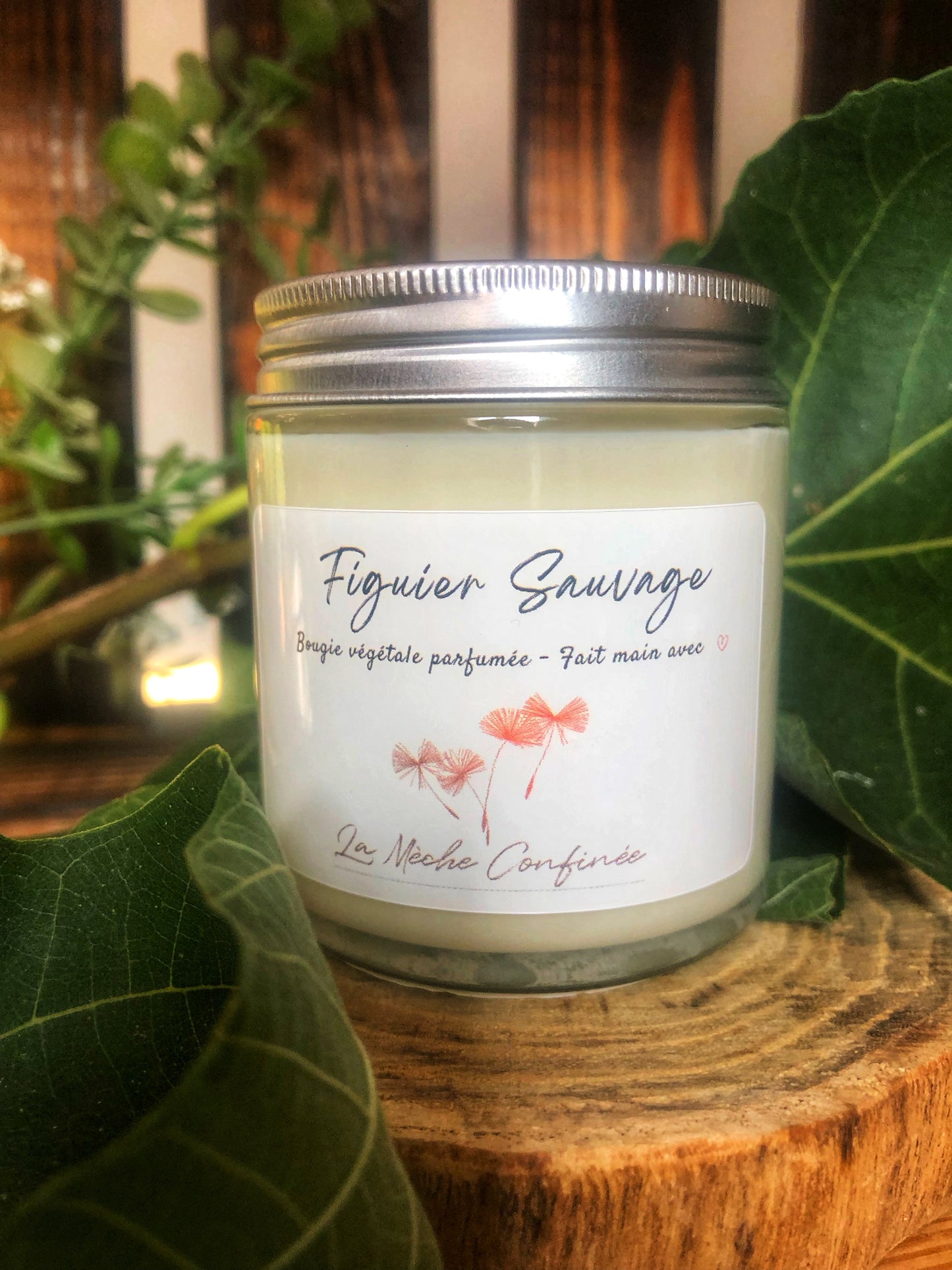 BOUGIE FIGUE SAUVAGE