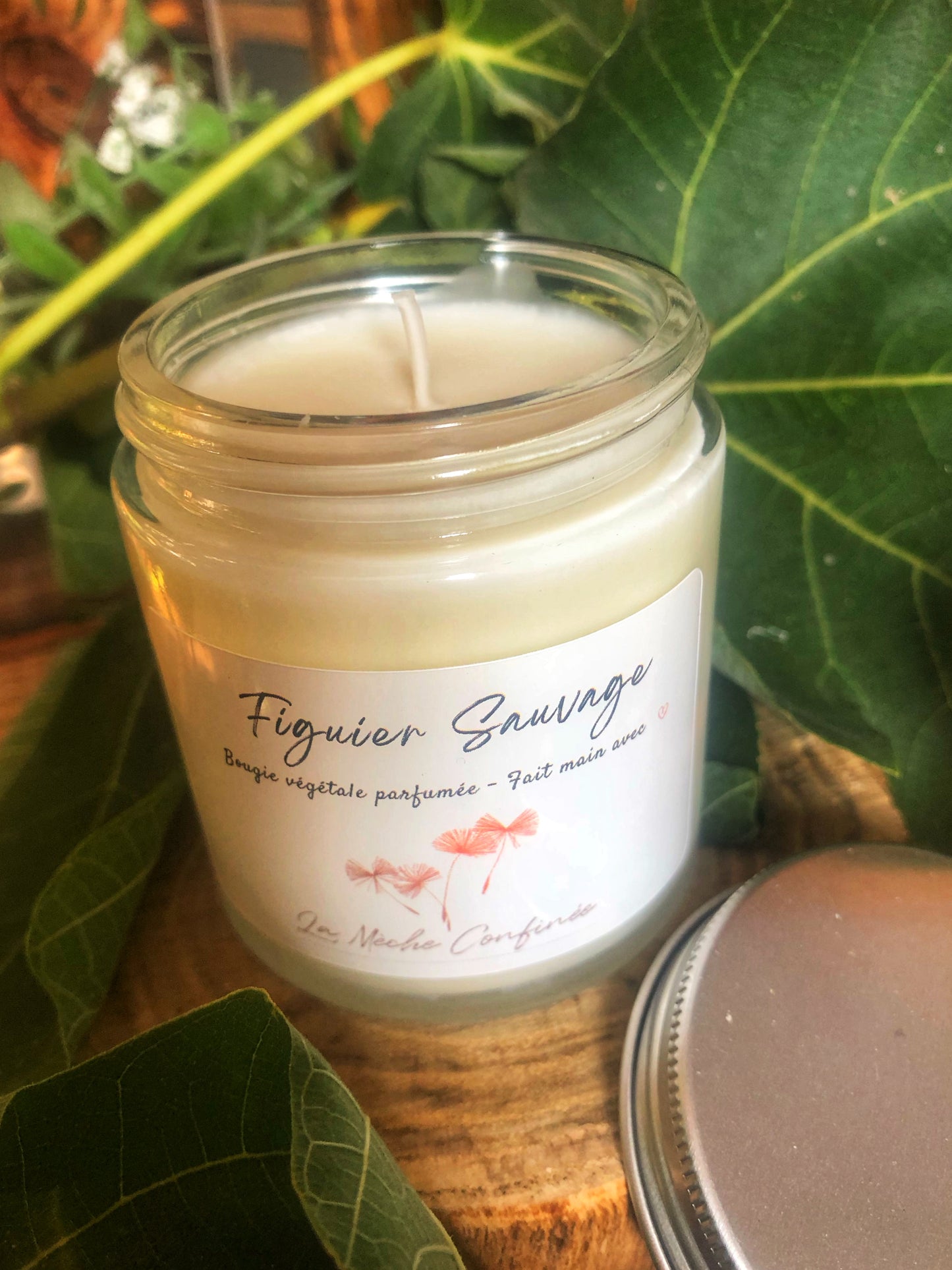 BOUGIE FIGUE SAUVAGE