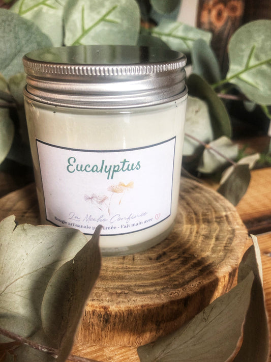 Bougie EUCALYPTUS