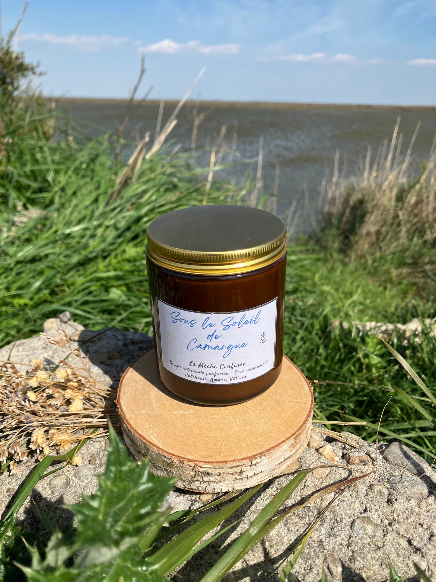 Sous le soleil de Camargue